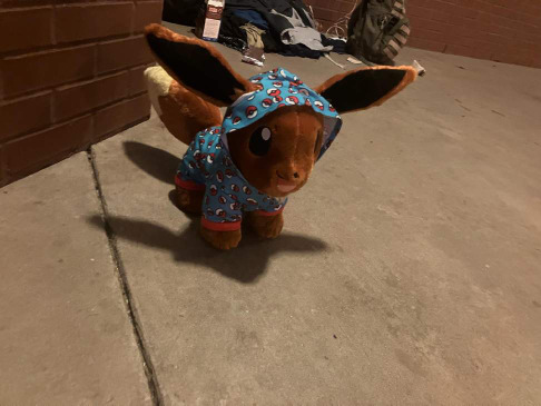 PJ Eevee